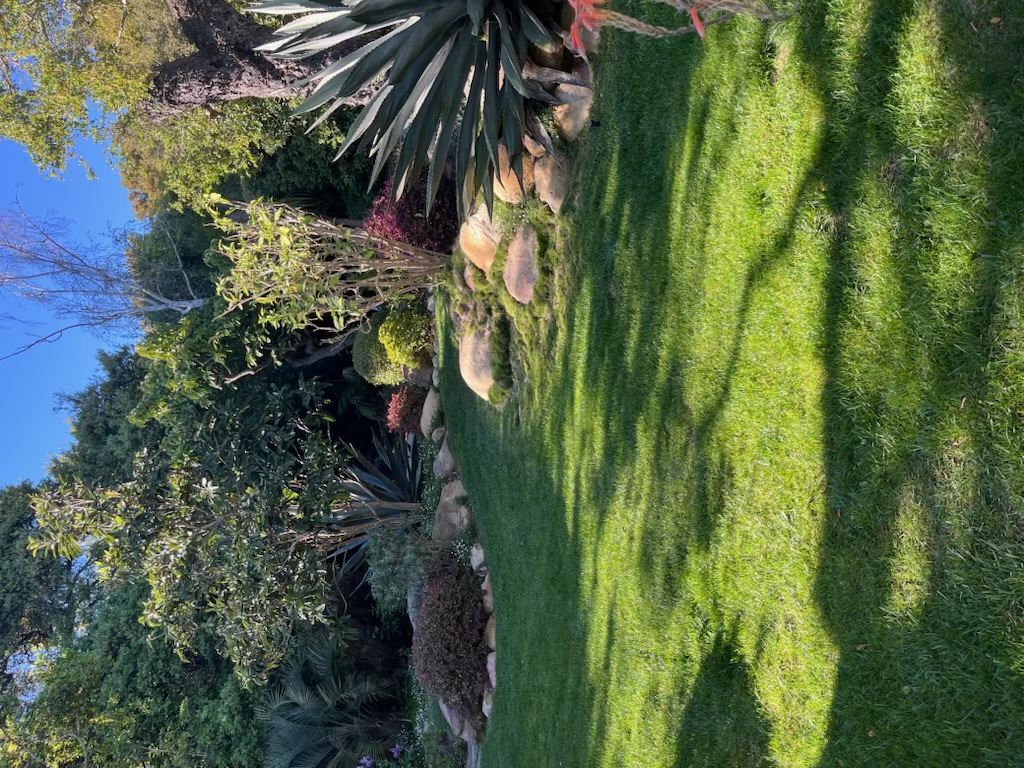 A carefully maintained Los Angeles garden by Luevanos Landscape Tree Services