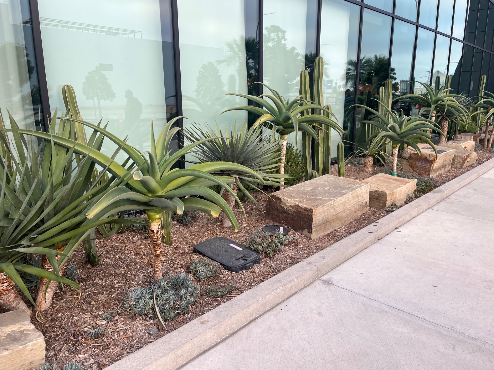 Landscape installation project by Luevanos Landscape Tree Services